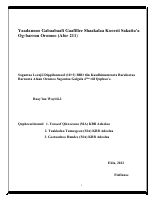 AfOr 211.pdf